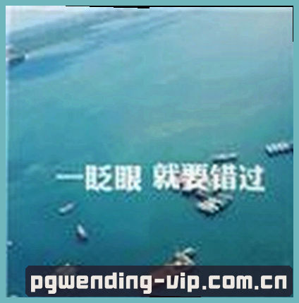 张磊